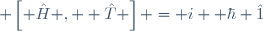  \left[ \hat{H} ,  \hat{T} \right] \ = \ i  \hbar \ \hat{1}