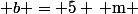\( b = 5 \, \text{m} \)