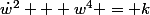 \dot{w}^2 + w^4 = k