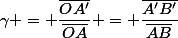 \gamma = \dfrac{\overline{OA'}}{\overline{OA}} = \dfrac{\overline{A'B'}}{\overline{AB}}