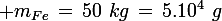 \large m_{Fe}\,=\,50\,\,kg\,=\,5.10^4\,\,g