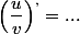 \left(\dfrac{u}{v}\right)^{,}=...