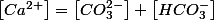 \left[Ca^{2+}\right]=\left[CO_{3}^{2-}\right]+\left[HCO_{3}^{-}\right]