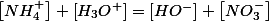 \left[NH_{4}^{+}\right]+\left[H_{3}O^{+}\right]=\left[HO^{-}\right]+\left[NO_{3}^{-}\right]