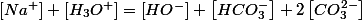 \left[Na^{+}\right]+\left[H_{3}O^{+}\right]=\left[HO^{-}\right]+\left[HCO_{3}^{-}\right]+2\left[CO_{3}^{2-}\right]