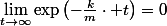 \lim_{t\rightarrow\infty}\exp\left(-\frac{k}{m}\cdot t\right)=0