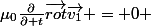 \mu_0\frac{\partial}{\partial t}\vec{rot}\vec{v_1} = 0 