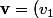 \textbf{v}=(v_1;0;v_3)