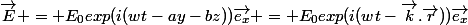 \vec{E} = E_{0}exp(i(wt-ay-bz))\vec{e_{x}} = E_{0}exp(i(wt-\vec{k}.\vec{r}))\vec{e_{x}}