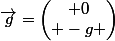 \vec{g}=\begin{pmatrix} 0\\ -g \end{pmatrix}