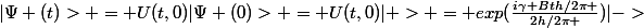 |\Psi (t)> = U(t,0)|\Psi (0)> = U(t,0)|+> = exp(\frac{i\gamma Bth/2\pi }{2h/2\pi })|->
