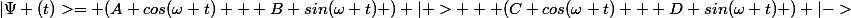 |\Psi (t)>= (A cos(\omega t) + B sin(\omega t) ) |+> + (C cos(\omega t) + D sin(\omega t) ) |->