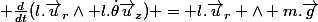  \frac{d}{dt}(l.\vec{u}_r\wedge l.\dot{\theta}\vec{u}_z) = l.\vec{u}_r \wedge m.\vec{g}