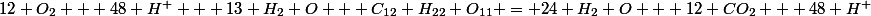 12 O_2 + 48 H^+ + 13 H_2 O + C_{12} H_{22} O_{11} = 24 H_2 O + 12 CO_2 + 48 H^+