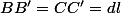 BB'=CC'=dl