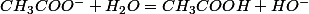 CH_{3}COO^{-}+H_{2}O=CH_{3}COOH+HO^{-}