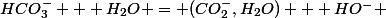 HCO_{3}^{-} + H_{2}O = (CO_{2}^{-},H_{2}O) + HO^{-} 