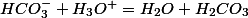 HCO_{3}^{-}+H_{3}O^{+}=H_{2}O+H_{2}CO_{3}