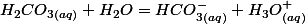 H_{2}CO_{3(aq)}+H_{2}O=HCO_{3(aq)}^{-}+H_{3}O_{(aq)}^{+}