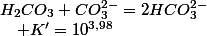 H_{2}CO_{3}+CO_{3}^{2-}=2HCO_{3}^{2-}\quad;\quad K'=10^{3,98}