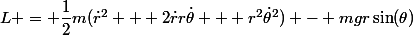 L = \dfrac{1}{2}m(\dot{r}^2 + 2\dot{r}r\dot{\theta} + r^2\dot{\theta}^2) - mgr\sin(\theta)