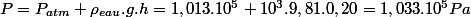 P=P_{atm}+\rho_{eau}.g.h=1,013.10^{5}+10^{3}.9,81.0,20=1,033.10^{5}Pa