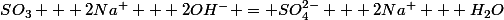 SO_3 + 2Na^+ + 2OH^- = SO_4^{2-} + 2Na^+ + H_2O