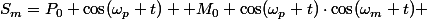 S_m=P_0 \cos(\omega_p t)+ M_0 \cos(\omega_p t)\cdot\cos(\omega_m t) 