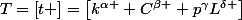 T=\left[t \right]=\left[k^{\alpha } C^{\beta } p^{\gamma}L^{\delta }\right]