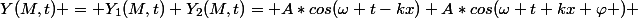 Y(M,t) = Y_{1}(M,t)+Y_{2}(M,t)= A*cos(\omega t-kx)+A*cos(\omega t+kx+\varphi ) 