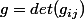 g=det(g_{ij})