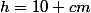 h=10 cm