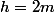 h=2m