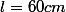 l=60cm