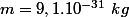m=9,1.10^{-31}~kg