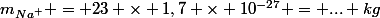 m_{Na^+} = 23 \times 1,7 \times 10^{-27} = ... kg