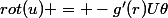 rot(u) = -g'(r)U\theta