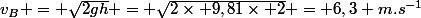 v_{B} = \sqrt{2gh} = \sqrt{2\times 9,81\times 2} = 6,3 m.s^{-1}