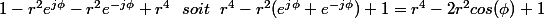 ~~1-r^2e^{j\phi}-r^2e^{-j\phi}+r^4~~soit~~r^4-r^2(e^{j\phi}+e^{-j\phi})+1=r^4-2r^2cos(\phi)+1