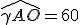 \widehat{\gamma AO} = 60