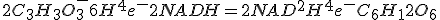 2C_3H_3O_3^-+6H^++4e^-+2NADH=2NAD^++2H^++4e^-+C_6H_12O_6