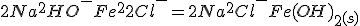 2Na^++2HO^-+Fe^{2+}+2Cl^-=2Na^++2Cl^-+Fe(OH)_2_{(s)}