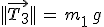 3$||\vec{T_3}||\,=\,m_1\,g