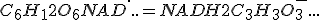 C_6H_12O_6 + NAD^+ + ... = NADH + 2C_3H_3O_3^- + ...