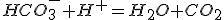 HCO_3^-+H^+=H_2O+CO_2