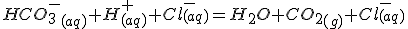 HCO_3^-_{(aq)}+H^+_{(aq)}+Cl^-_{(aq)}=H_2O+CO_2_{(g)}+Cl^-_{(aq)}