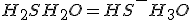 H_{2}S + H_{2}O= HS^{-}+ H_{3}O^{+}