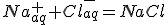 Na^+_{aq}+Cl^-_{aq}=NaCl